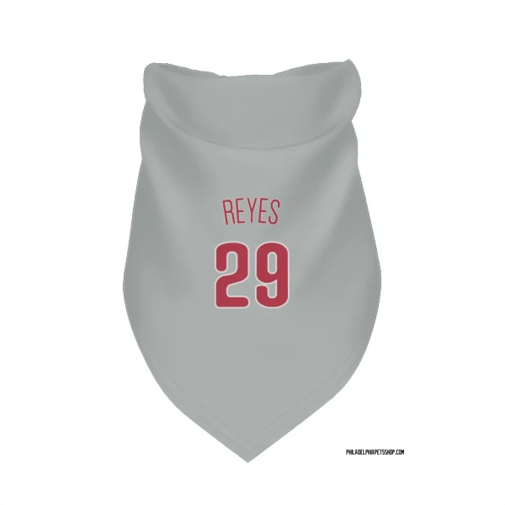 Philadelphia Phillies Felix Reyes Gray Pet Bandana for Dog & Cat