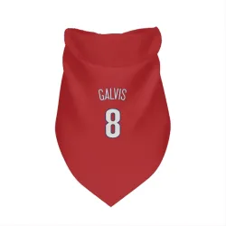 Philadelphia Phillies Freddy Galvis Red Pet Bandana for Dog & Cat