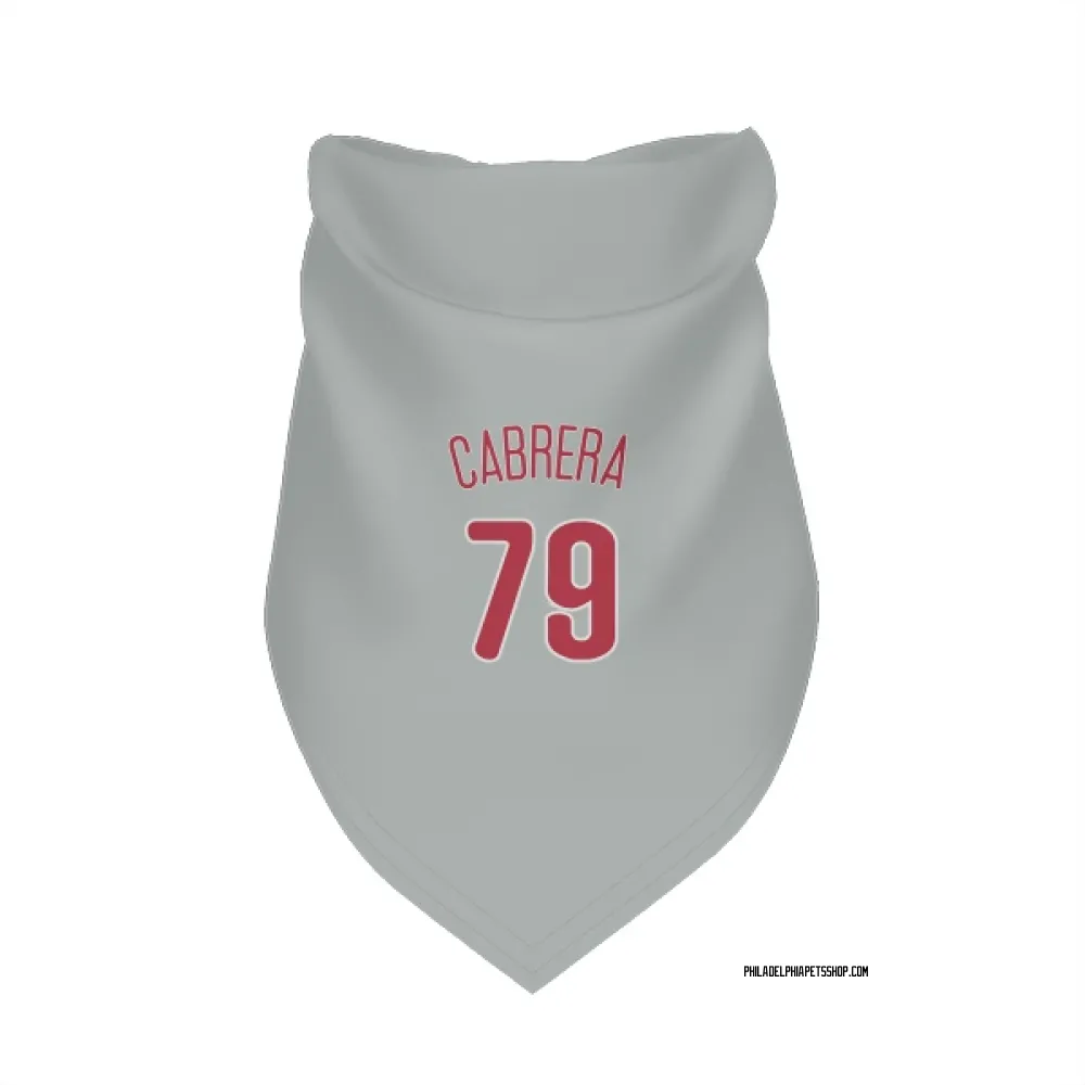 Philadelphia Phillies Jean Cabrera Gray Pet Bandana for Dog & Cat