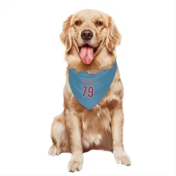 Philadelphia Phillies Jean Cabrera Light Blue Pet Bandana for Dog & Cat