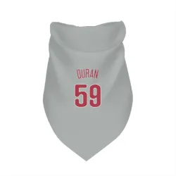 Philadelphia Phillies Jhoan Duran Gray Pet Bandana for Dog & Cat