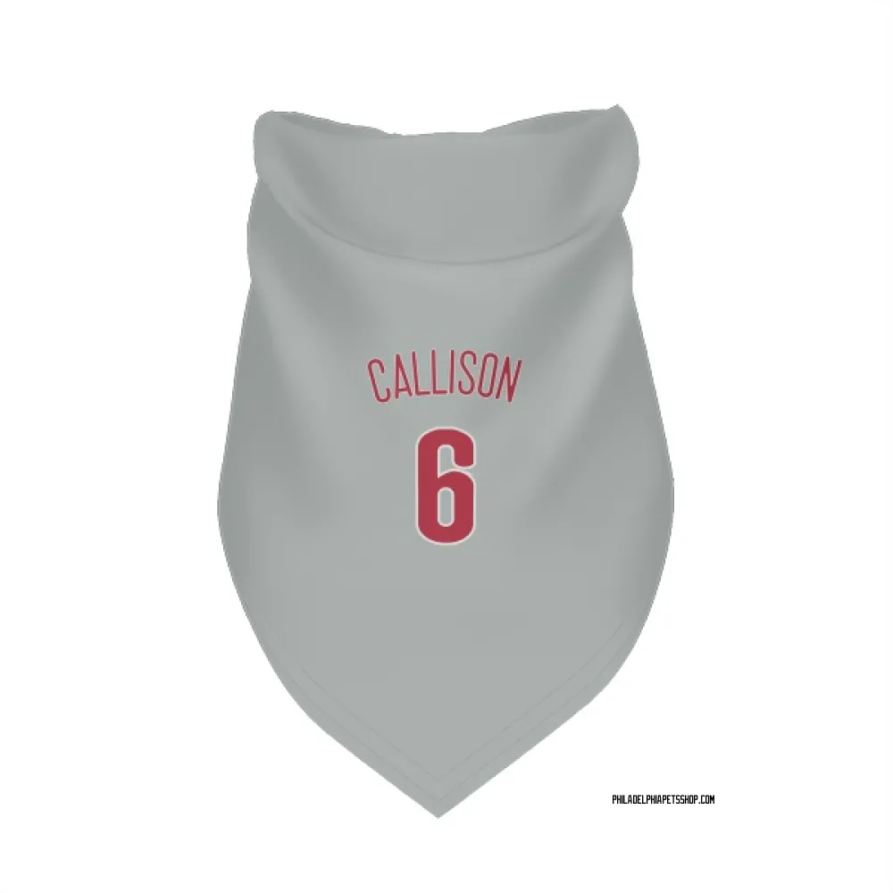 Philadelphia Phillies Johnny Callison Gray Pet Bandana for Dog & Cat