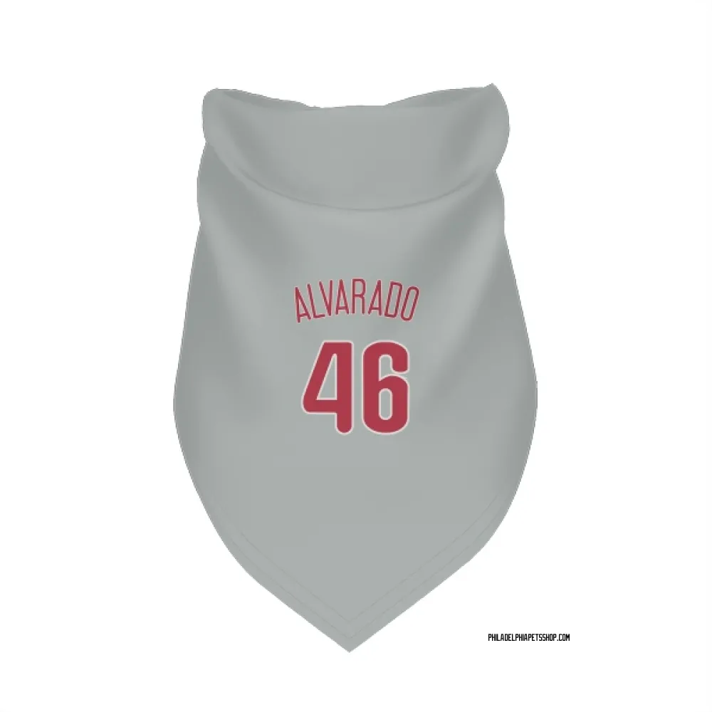 Philadelphia Phillies Jose Alvarado Gray Pet Bandana for Dog & Cat