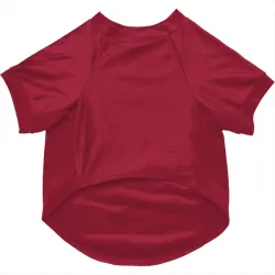 Philadelphia Phillies Jose Alvarado White Pet Jersey for Dog & Cat