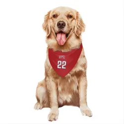 Philadelphia Phillies Mark Appel Red Pet Bandana for Dog & Cat