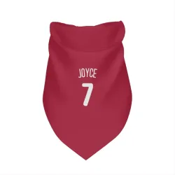 Philadelphia Phillies Matt Joyce White Pet Bandana for Dog & Cat