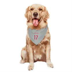 Philadelphia Phillies Max Kepler Gray Pet Bandana for Dog & Cat