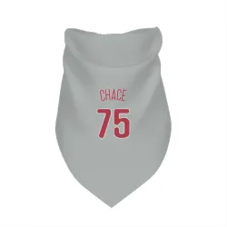 Philadelphia Phillies Moises Chace Gray Pet Bandana for Dog & Cat