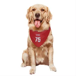 Philadelphia Phillies Moises Chace Red Pet Bandana for Dog & Cat