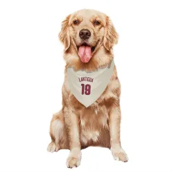 Philadelphia Phillies Rafael Lantigua Cream Pet Bandana for Dog & Cat